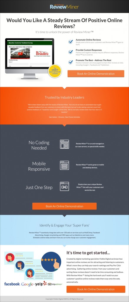 landing_page_review_miner